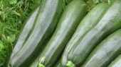See prices of Zucchini