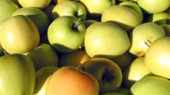 consultar los precios para Manzana golden