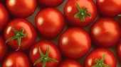 See prices of Smooth Round Tomato