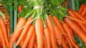 See prices of Carrot