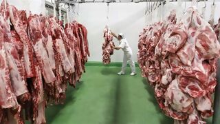 consultar el Índice de Precios de la Carne de la FAO